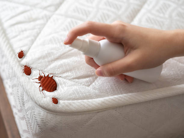 Best Mosquito Control Services  in Drew, MS